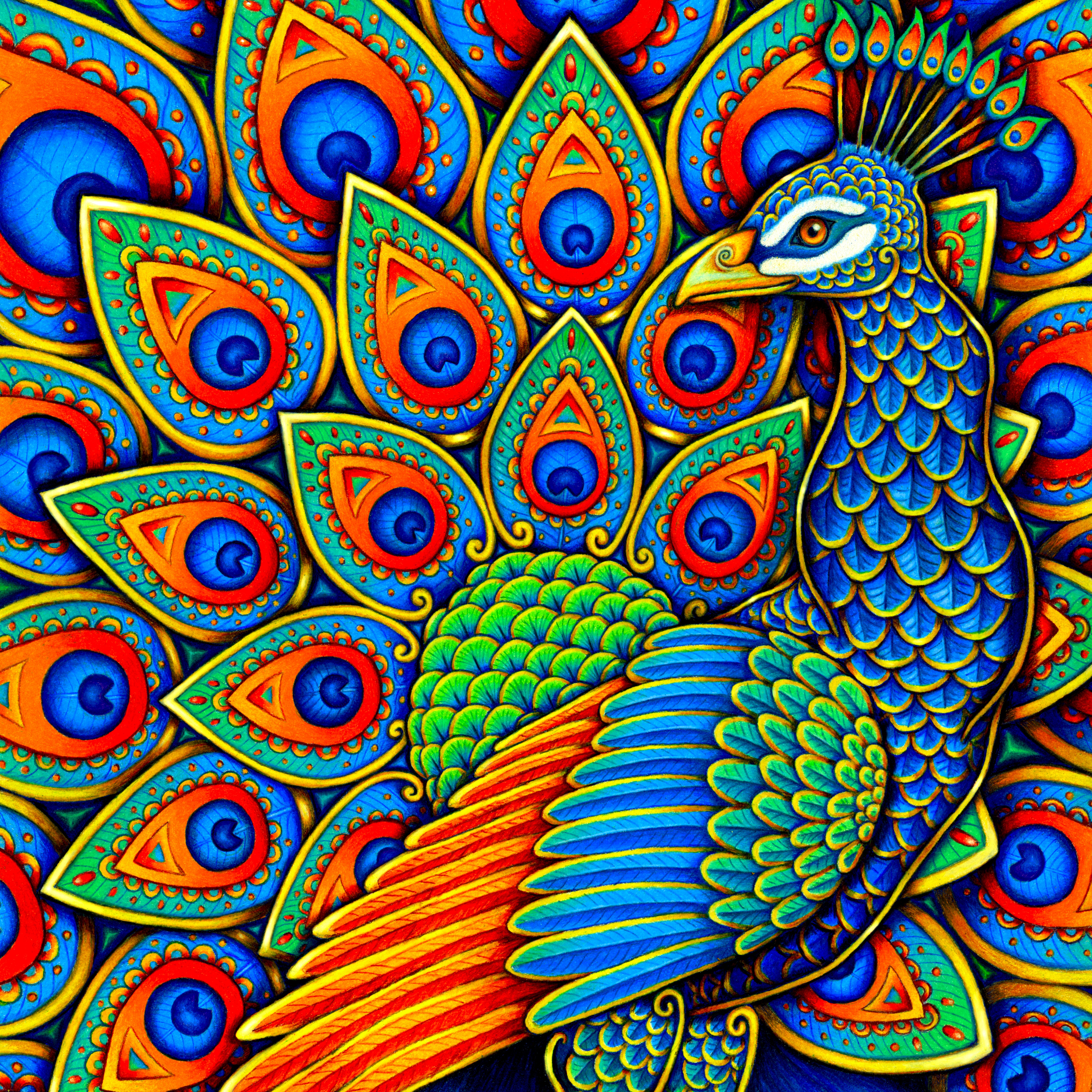 Colorful_Paisley_Peacock_Rainbow_Bird.jpeg